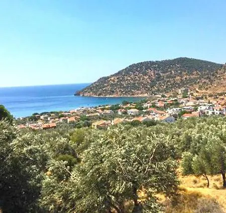 Sweet Horses St5 * Didim
