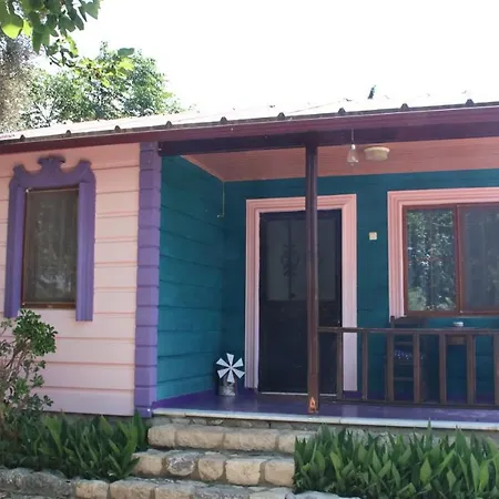 Sweet Horses St5 Holiday home